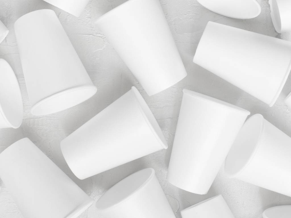 White Simple Paper Cups
